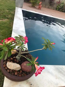 Casa para alugar temporada são José da coroa-pé 