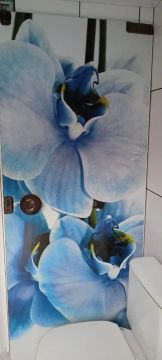 Porta de vidro com Design Floral Moderno