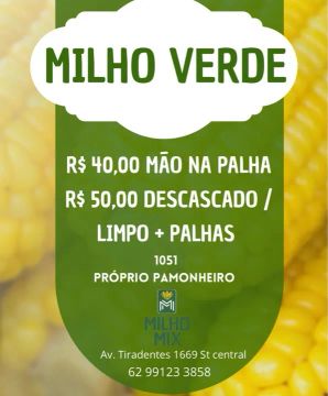 Milho pamonheiro 1051