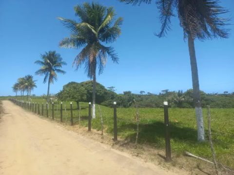 Oportunidade Única: Propriedade Completa com Potencial de Negócios!