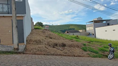 Lote