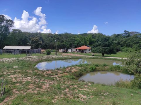 COD289- FAZENDA  116HECTARES - BONITO/MS.