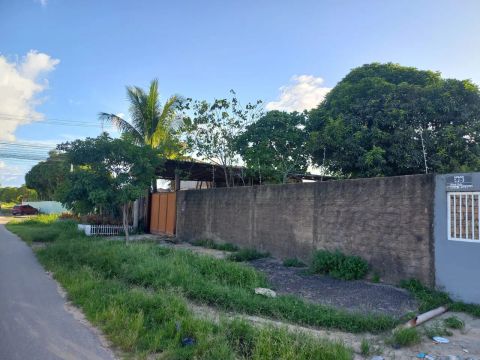 Casa arborizada, quintal amplo.