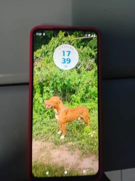 Moto g34