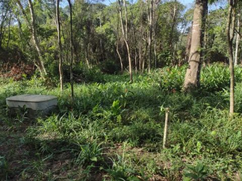 Vendo terreno 630 M² barato troco por carro, em Tinguá na estrada do tabuleiro  65 mil