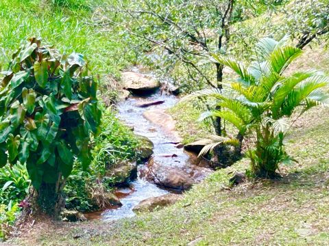 SÍTIO MARAVILHOSO COM LINDA VISTA EM MONTEIRO LOBATO/SP