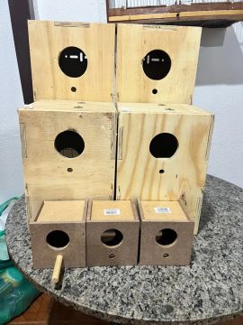 Ninhos para pássaros 