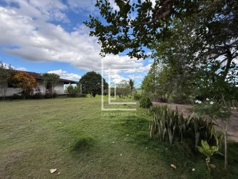 Excelente fazenda completa de 126 tarefas e toda no pasto em Capela-AL