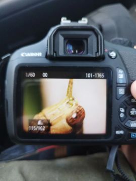 Câmera Canon DSLR T5 