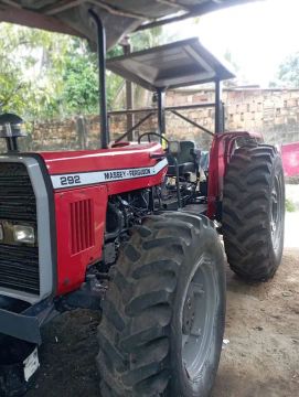 Trator Massey Ferguson 292 ano 1999