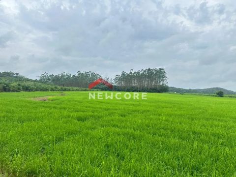 Fazenda em Rodovia SC-108 - Vila Nova - Joinville/SC