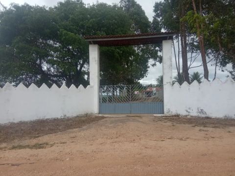 Fazendinha Top!