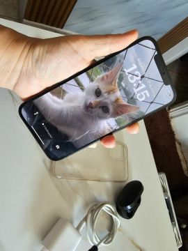 Celular iPhone 12 Promax