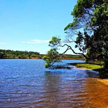 Chácara. Este paraíso com 6.000 m² de natureza, uma casa aconchegante.