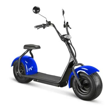 Scooter Diferentes modelos de 1000w 1500w Smart Electric