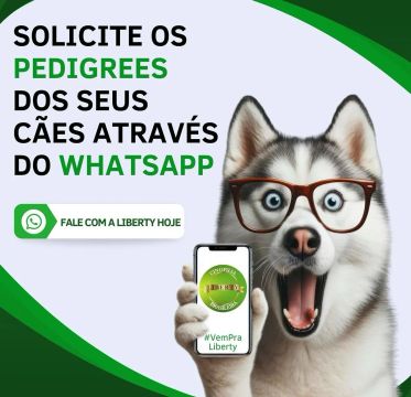 Solicite já o Pedigree do seu cão de Raça 