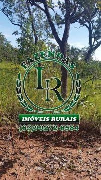 Fazenda 488 Alqueires Tocantins Bruta 