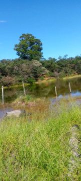 Vendo 30 hectares, subida serra de francisco sá