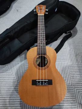 Ukelele de Nylon - Novo