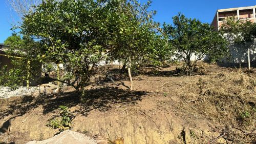 Terreno com árvores frutíferas
