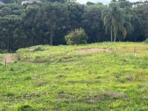 Terrenos em área privilegiada Nova Petrópolis
