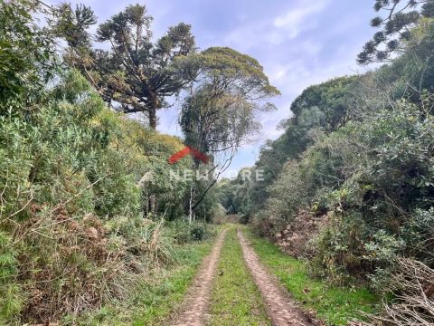 Lote em Rua 6 - Alpes - São Francisco de Paula/RS