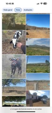 Fazenda em Rio de Contas 