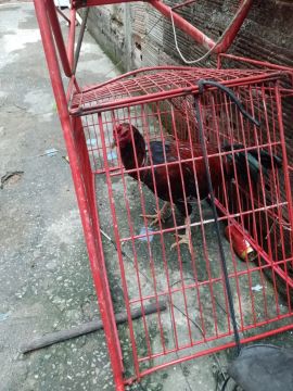 Vende se 