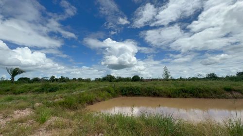 PROPRIEDADE RURAL ITAPECURU 190.000 m2 as margens da BR 135 km 90