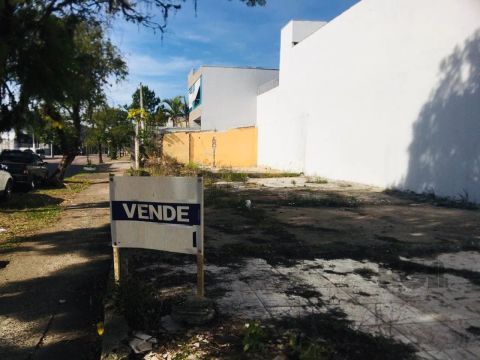 vende ou aluga terreno de esquina (rua Piauí com rua São Nicolau )com 256mt² comercial ou 