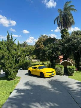 Camaro 2SS 6.2 V8 2013 