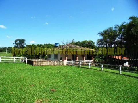 Sítio 6,0 alqueires em pecuária e seringueiras, Prata MG.