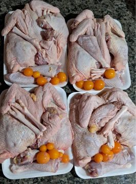Frango Caipira para Corte - Fresco e de Qualidade
