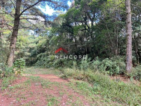 Lote em Rua 6 - Alpes - São Francisco de Paula/RS