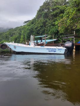  Lancha Panga, 15 Large, Motor Mercury 40HP, 4 Tempos