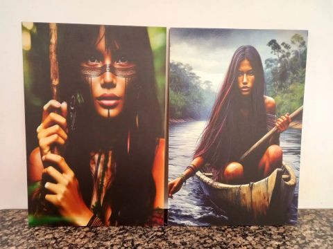 Quadros Decorativos amazônico