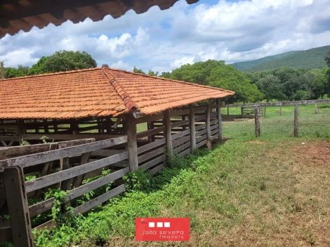 Fazenda para Venda em Rosário Oeste