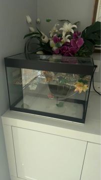 Terrário para répteis , retirar no Tatuapé 