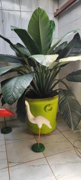 Planta 