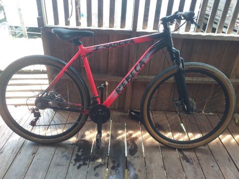 Bicicleta 
