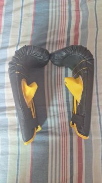 Luvas de Boxe - Trola Usada