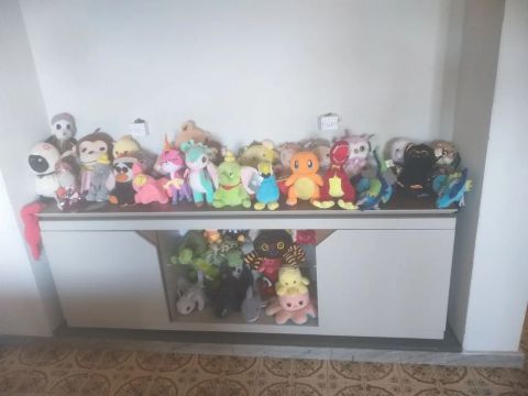 Urso pelúcia valor 10,00