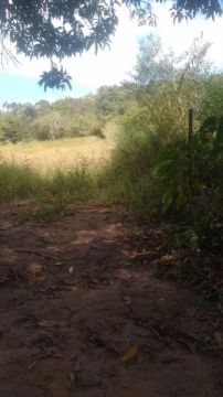 Venda Residential / Farm Ranch Congonhas MG