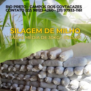 Silagem de Milho - Sacas de 30kg