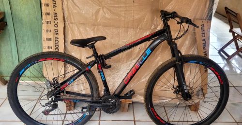 Bicicleta aro 29