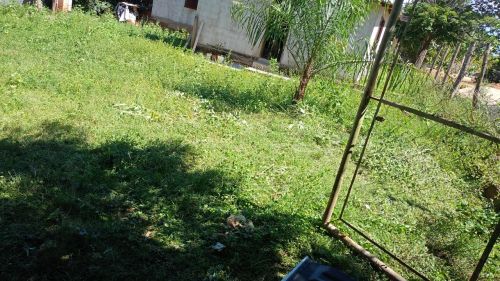 Vendo pesqueiro na beira do Rio Aquidauana 