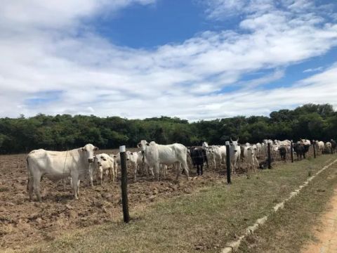 Oliveira/MG -  Fazenda de 570 hectares - R$15.000.000,00