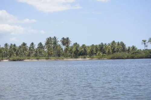 TERRENO 20 HECTARES 10KM VIA MAR DE BARRA GRANDE