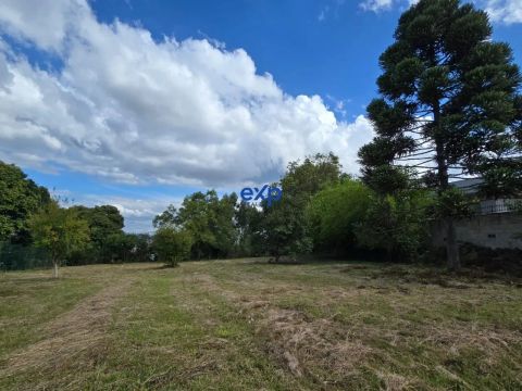 Terreno Residencial e Comercial com 1.308,81m², situado na Rua das Oliveiras lado par, Bai