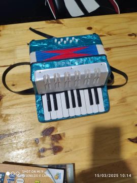 Acordeon Infantil